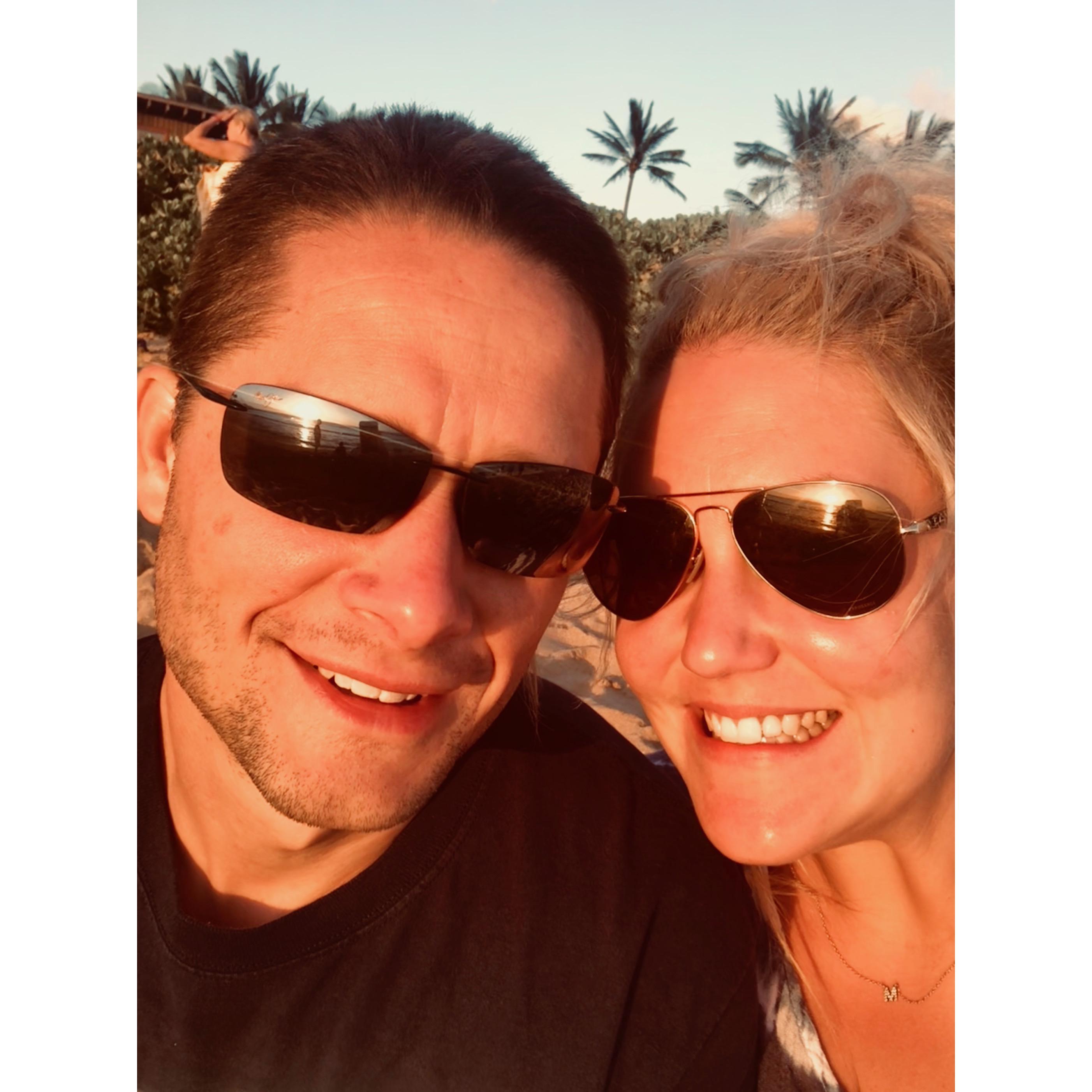 Looking at turtles, seals, and tourists in Hawaii