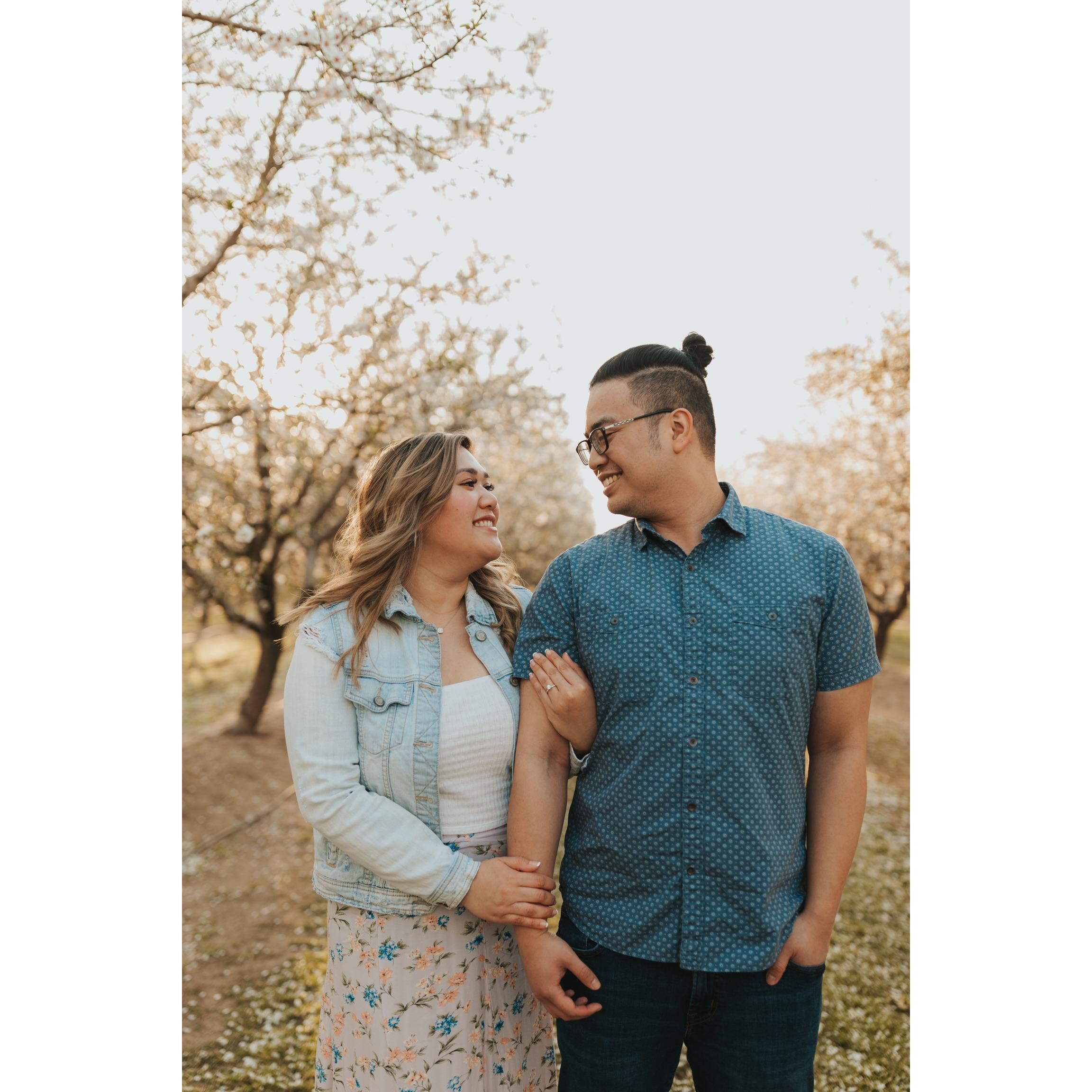 Almond Orchard — Modesto, CA