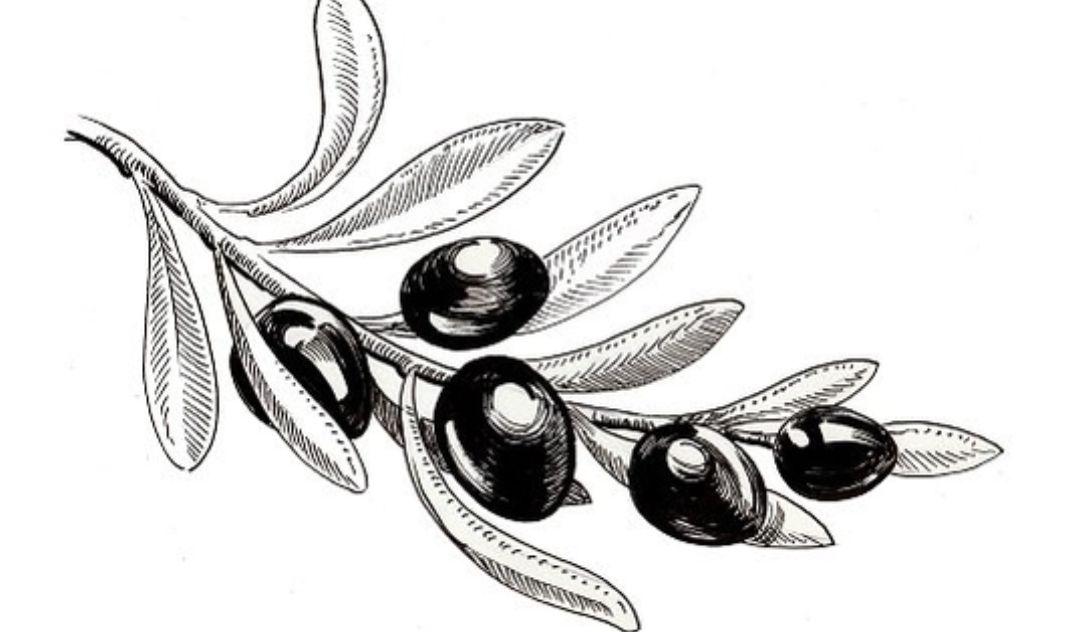 Footer image