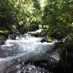 Free Natural Hot Springs River