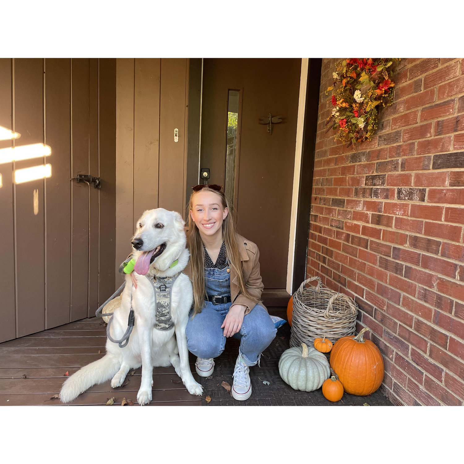 All our favorite punkins’