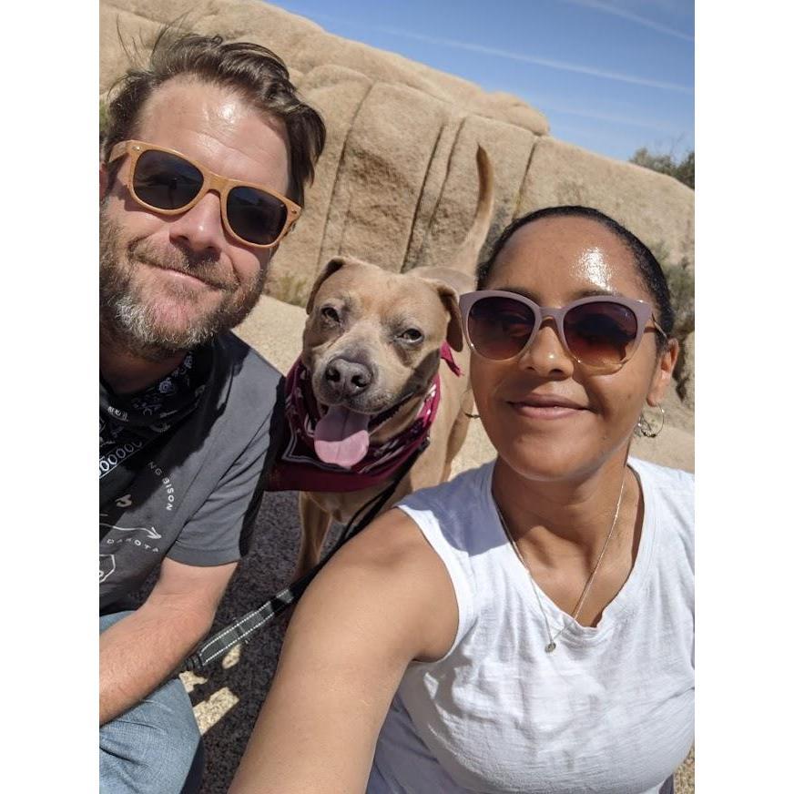 Heading out to Joshua Tree with Mojo