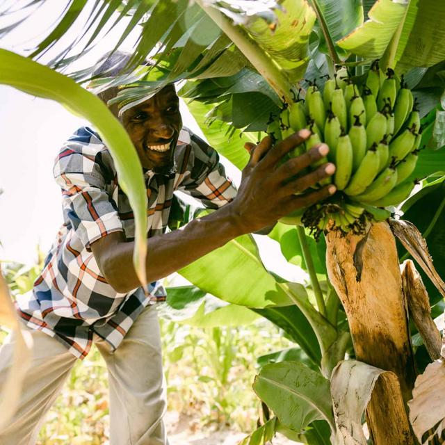 Charity! Trees for the Future: Plant trees and change lives.