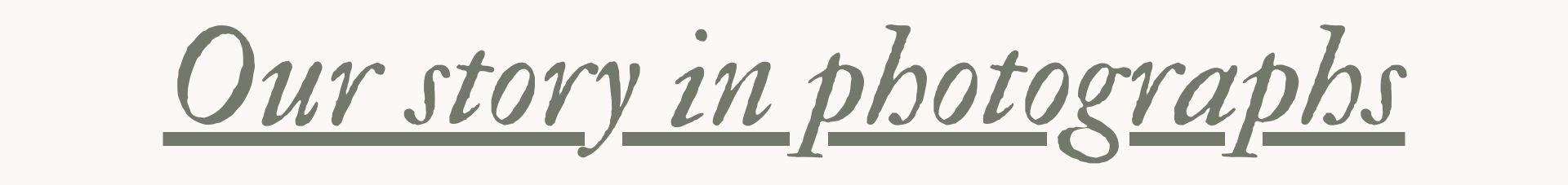 The Wedding Website of Alleyne Elvir Bendeck and Michael Averin