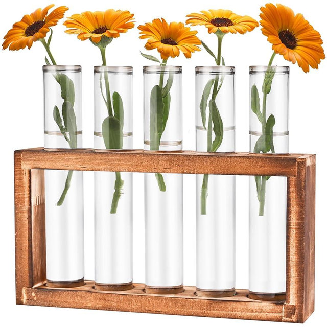 Tigvio Desktop Glass Plant Propagation Station with 5 Test Tubes in Wooden Stand - Hydroponic Plants Cutting Office Home Decoration and Garden Decor Terrarium