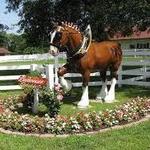 Grant's Farm