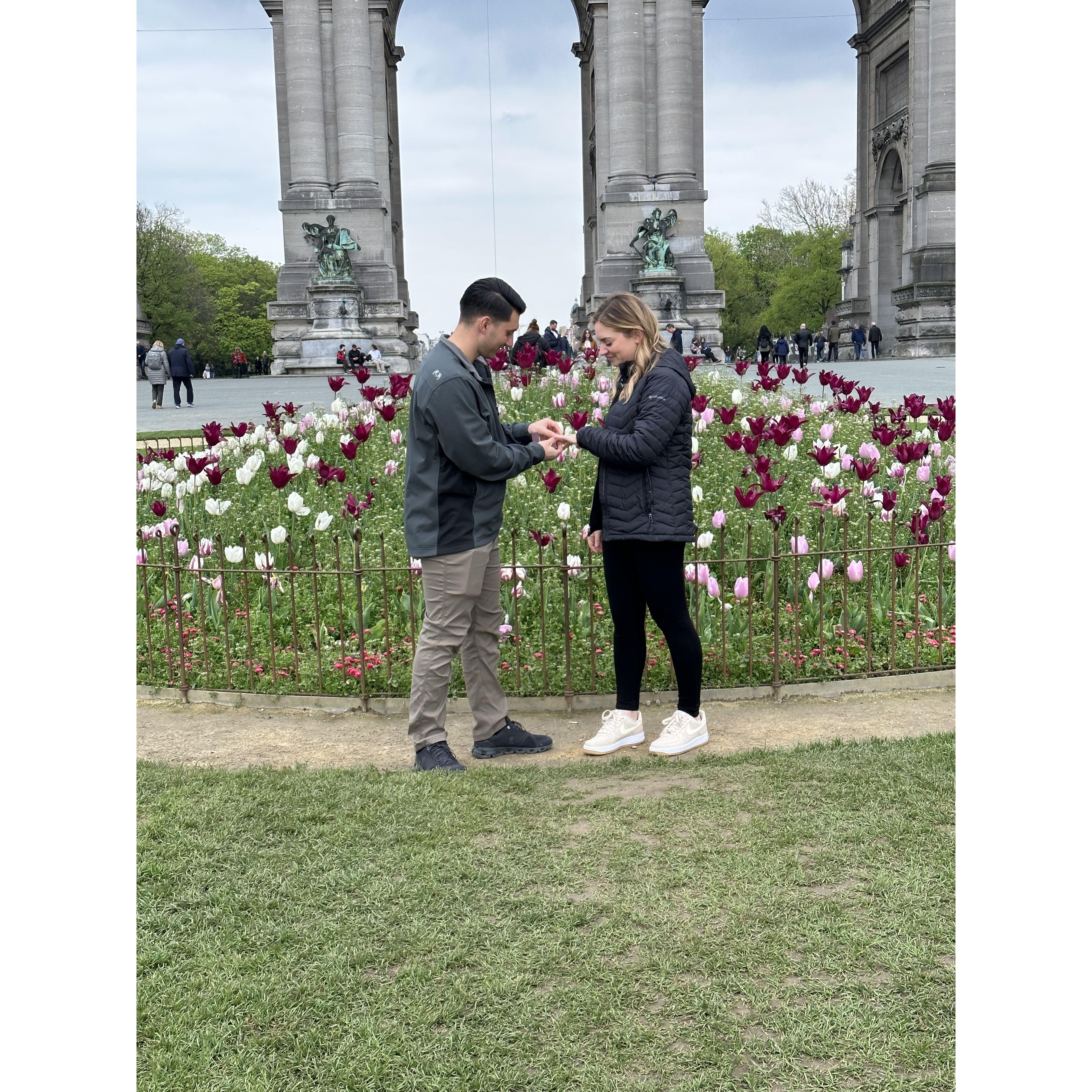 The proposal in Parc du Cinquantenaire