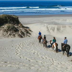 Horseback Ride on Beach
