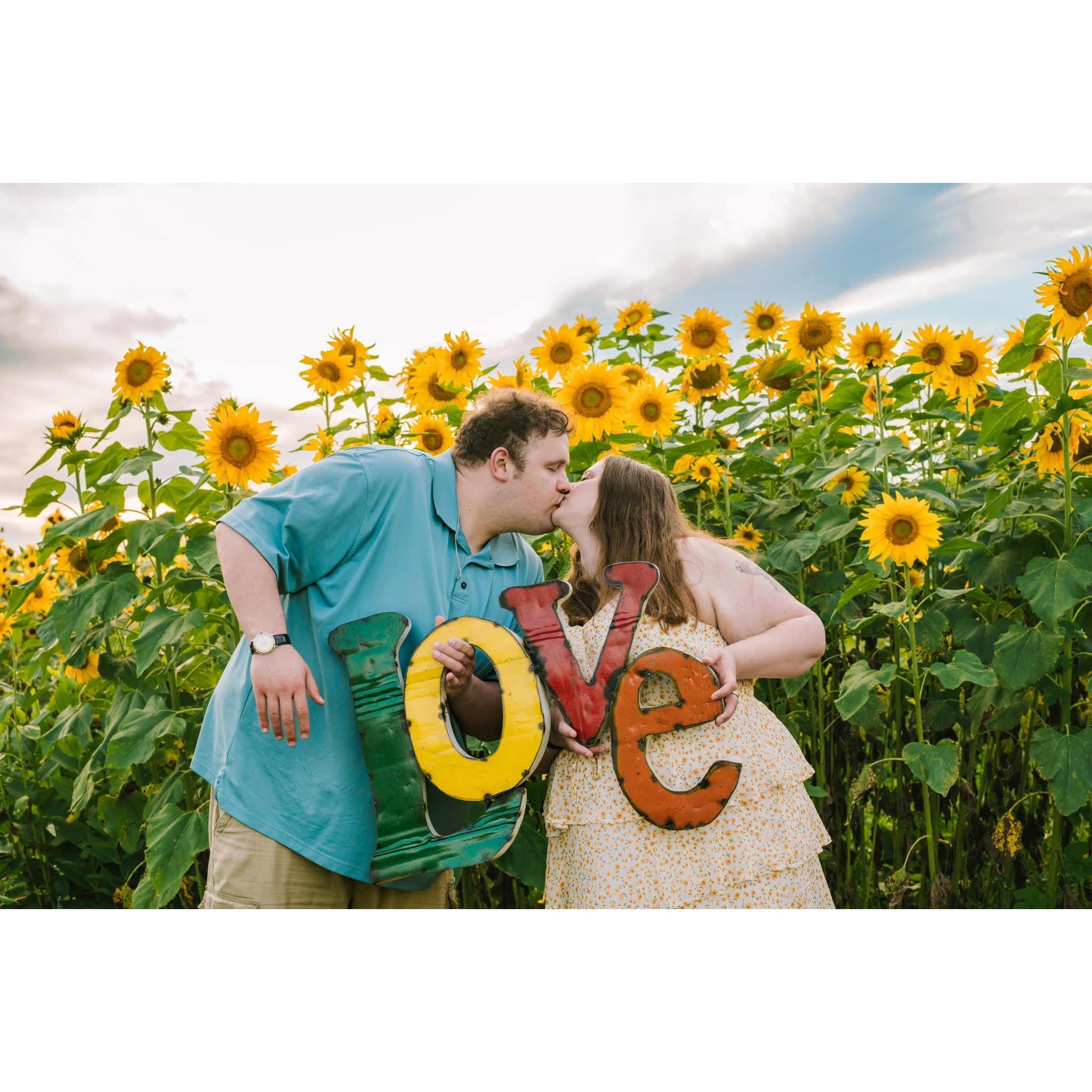 Our Sunflower Photo Session
