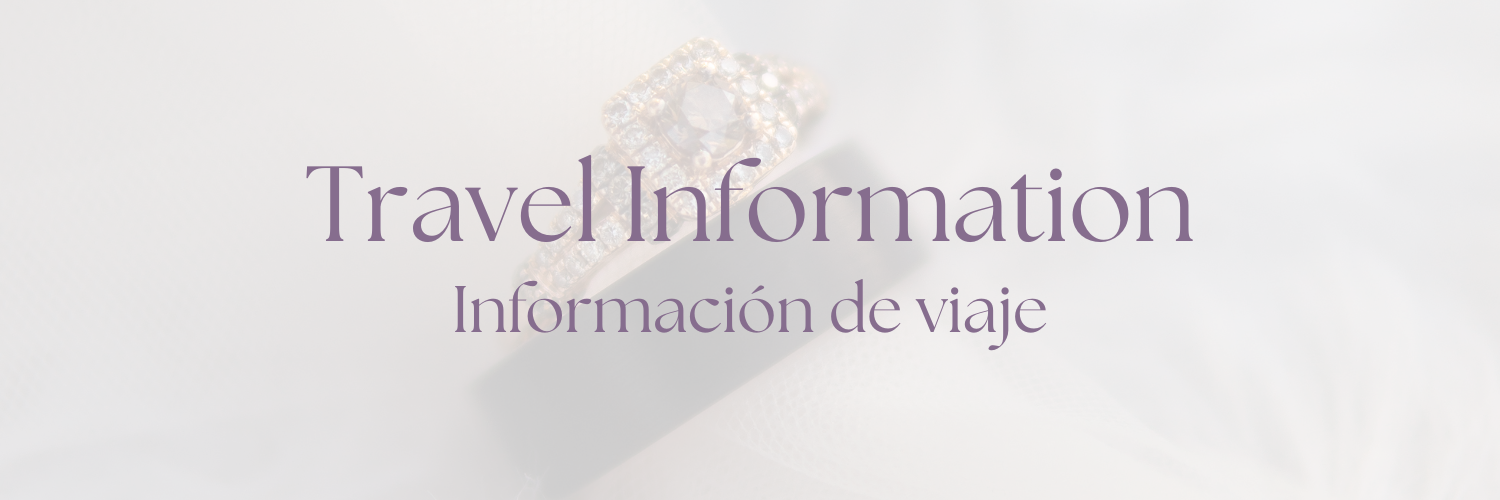 The Wedding Website of Sheyla Castañeda and Amir González