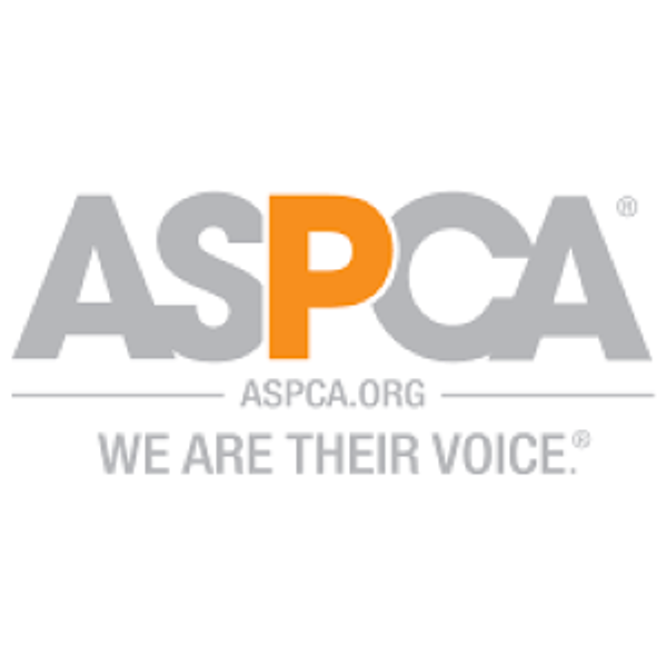 Charity Donation to ASPCA - any amount