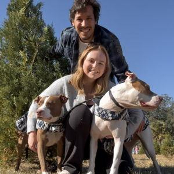 Dog Boarding