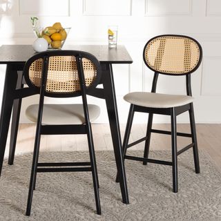 Darrion Mid-Century Modern Counter Stool, Set of 2