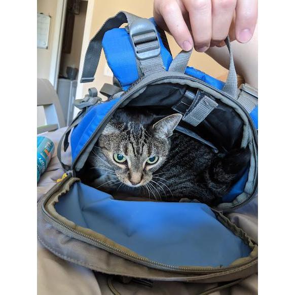 2020 - Salem didn't want us to pack for our hike