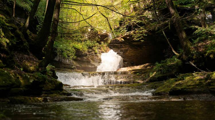 The Wedding Website of Emma Ramadan and Danny Loedel