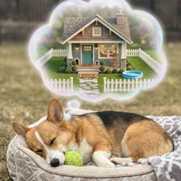 Home Down Payment