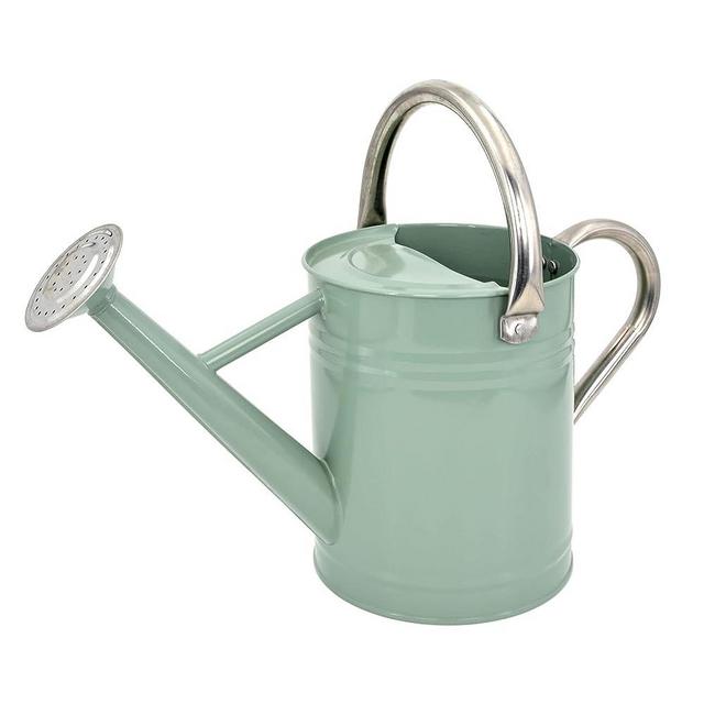 Lechloris Metal Watering Can for Outdoor Plants, Galvanized Steel Watering Can with Removable spout, 1 Gallon,Perfect Home & Garden Décor Cream Green