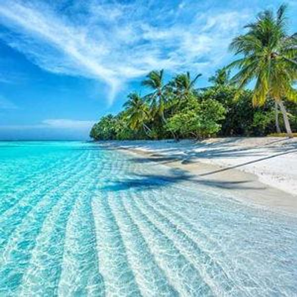 Honeymoon fund