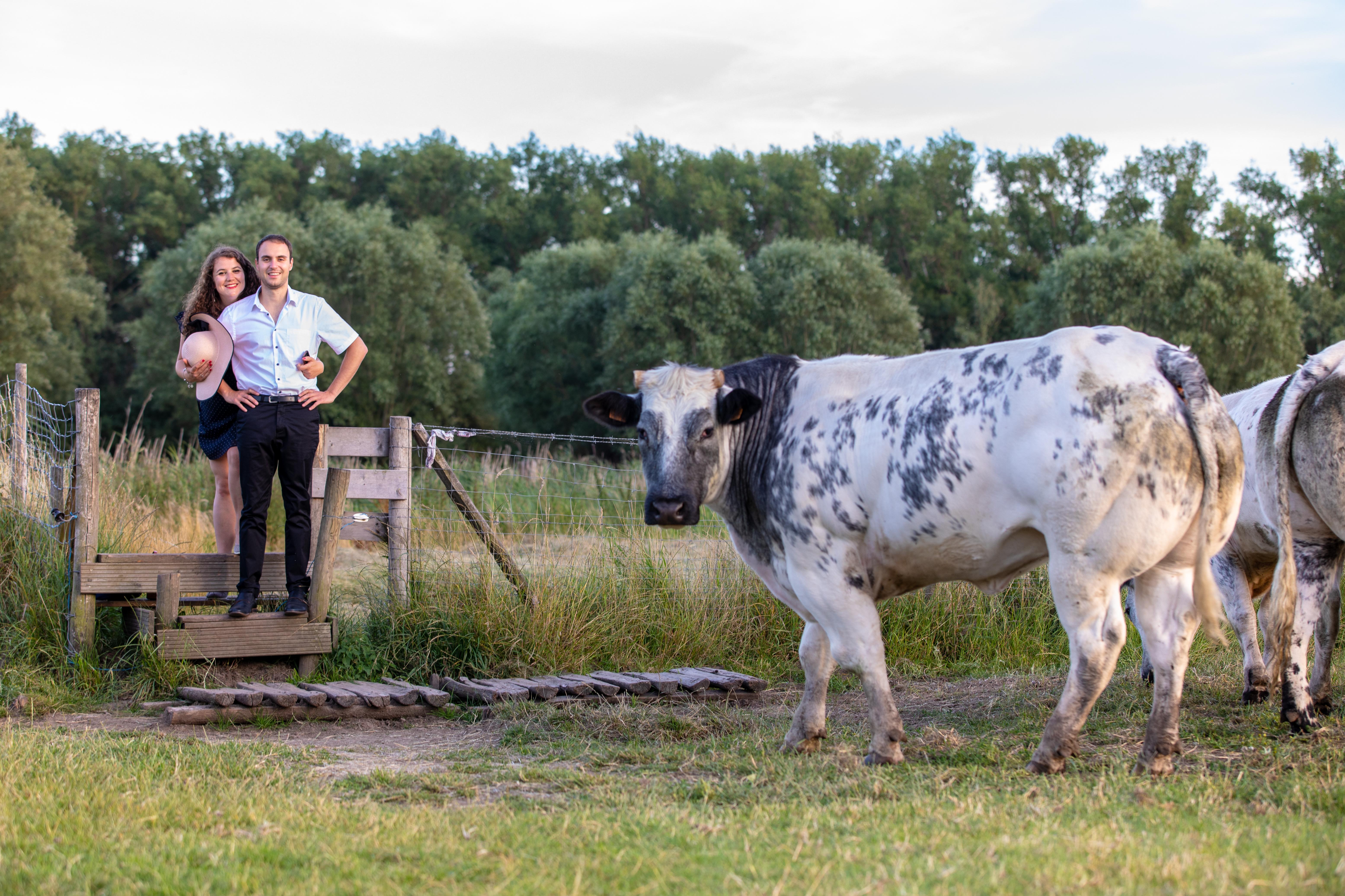 The Wedding Website of Bruno Kanage and Roxanna Deleersnyder