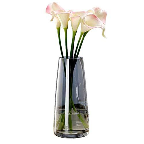 Fantastic Ryan Ins Modern Glass Vase Irised Crystal Clear Glass Vase for Home Office Decor (Crystal Gray)