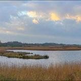 Oare Marshes Nature Reserve