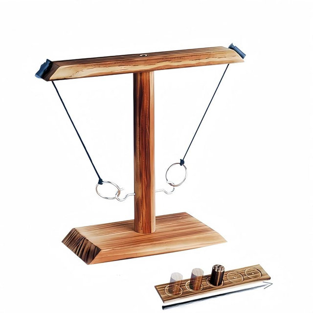 Ring Toss Game, Ring Throwing Game with Shot Put, Hook and Ring Throwing Game for Adults Kids, Fun Hook and Ring Game with Ladder