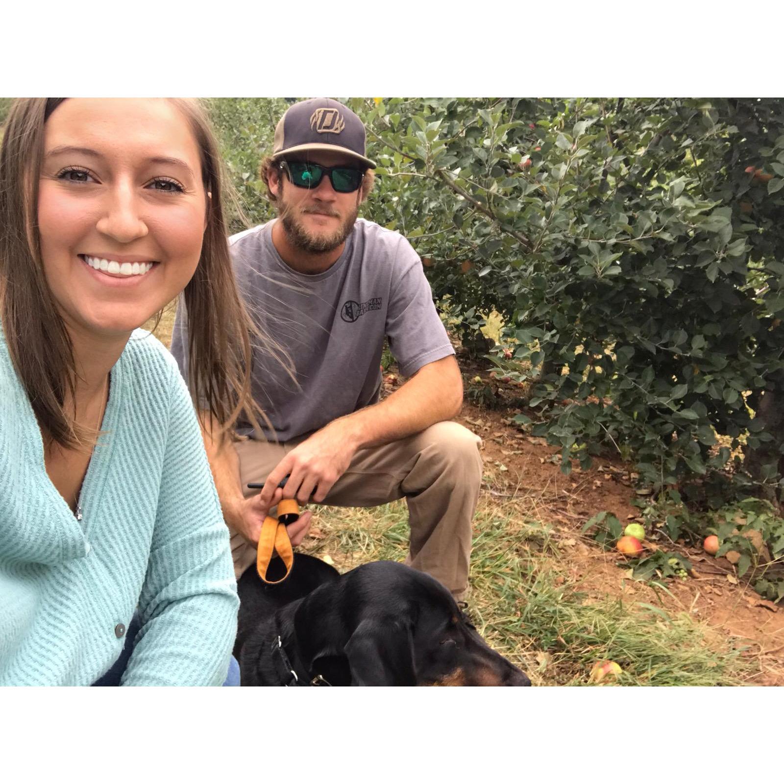 Apple picking in Charlottesville!