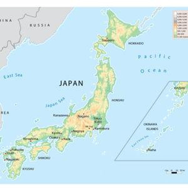 Round Trip Plane Tickets to Japan!