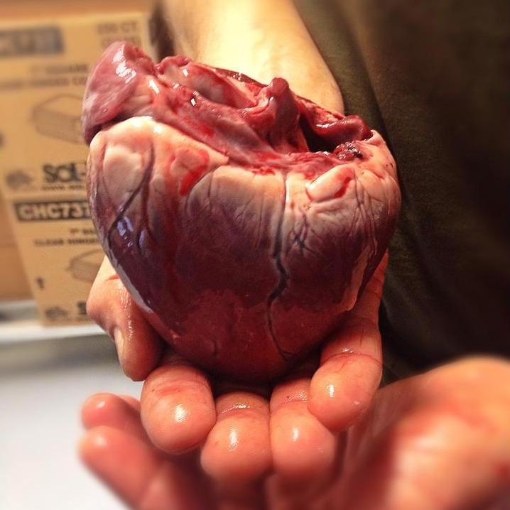 When I was crushing on Dan pretty hard, he presented me with a pig's heart, somehow intuitively knowing how to win over MY quirky heart. He was learning how to butcher a pig, just out of curiosity.
