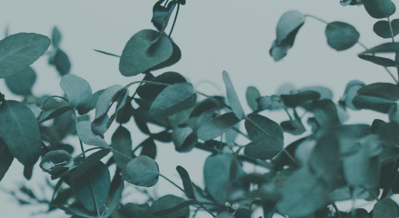 Footer image