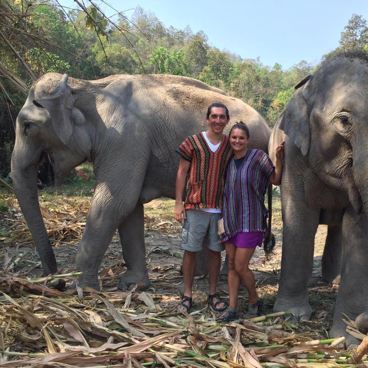 Making friends with the elephants in Thailand 2016