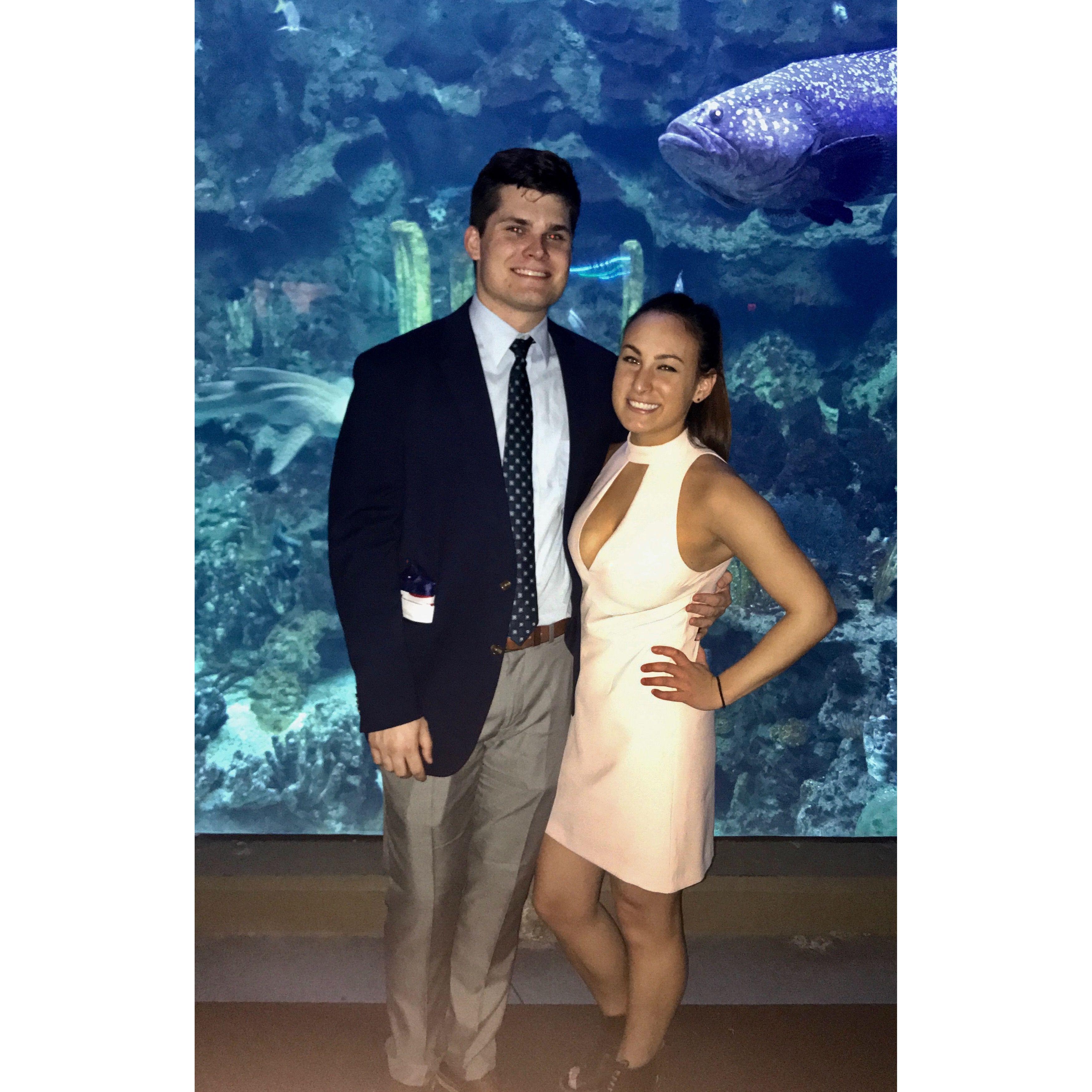 Pitt Pharmacy Formal at the Pittsburgh Aquarium 2017
