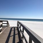 The Beach