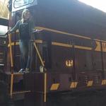 History Buff? Check out the - Lake Superior Railroad Museum
