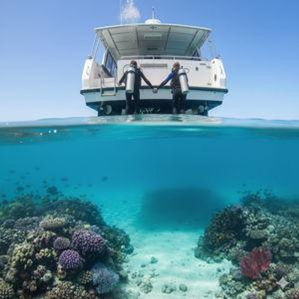 Liveaboard
