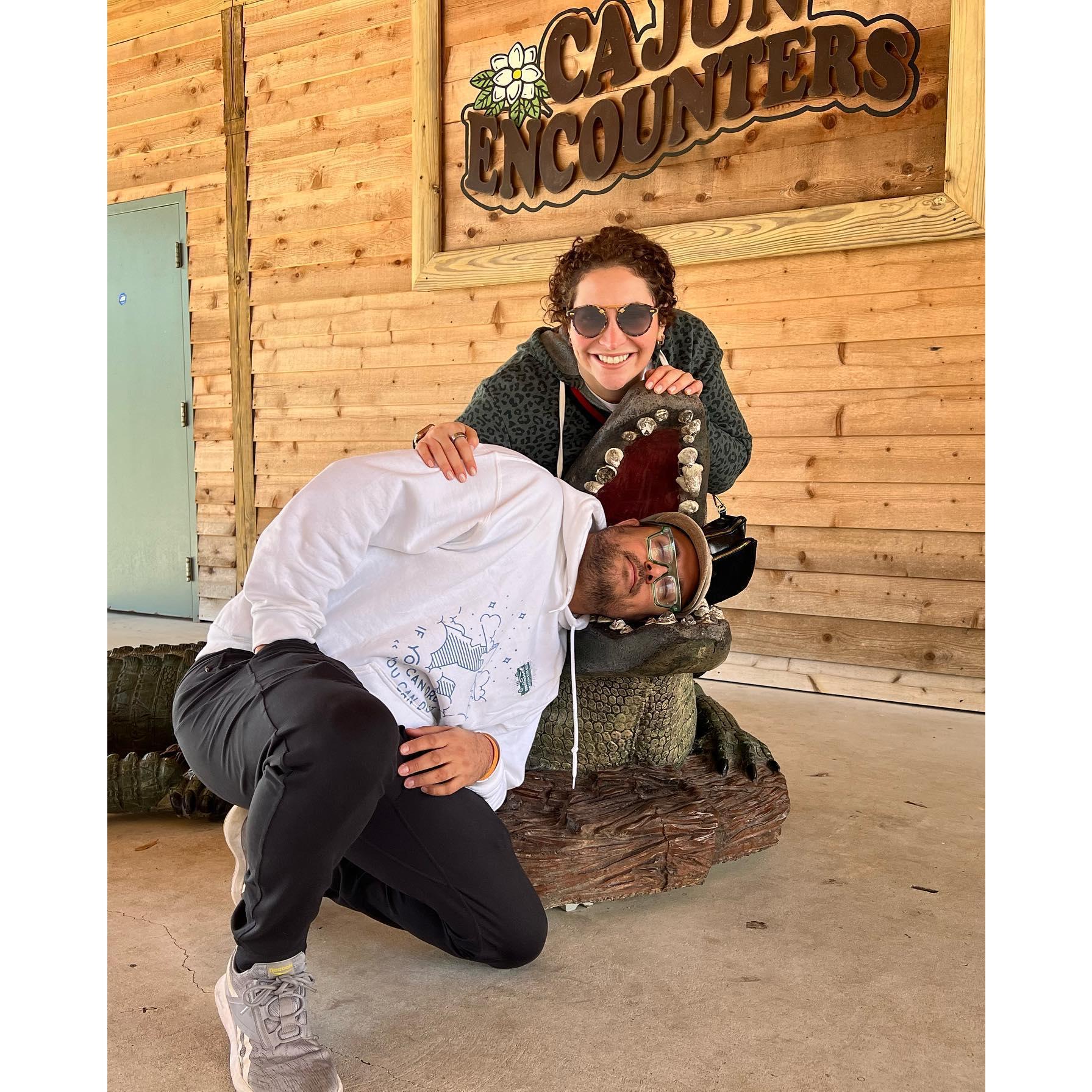 New Orleans - alligator tour...we only saw this one