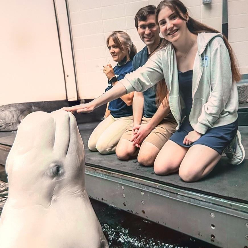 Meeting a Beluga at the Georgia Aquarium