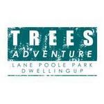 Trees Adventure - Lane Poole Park