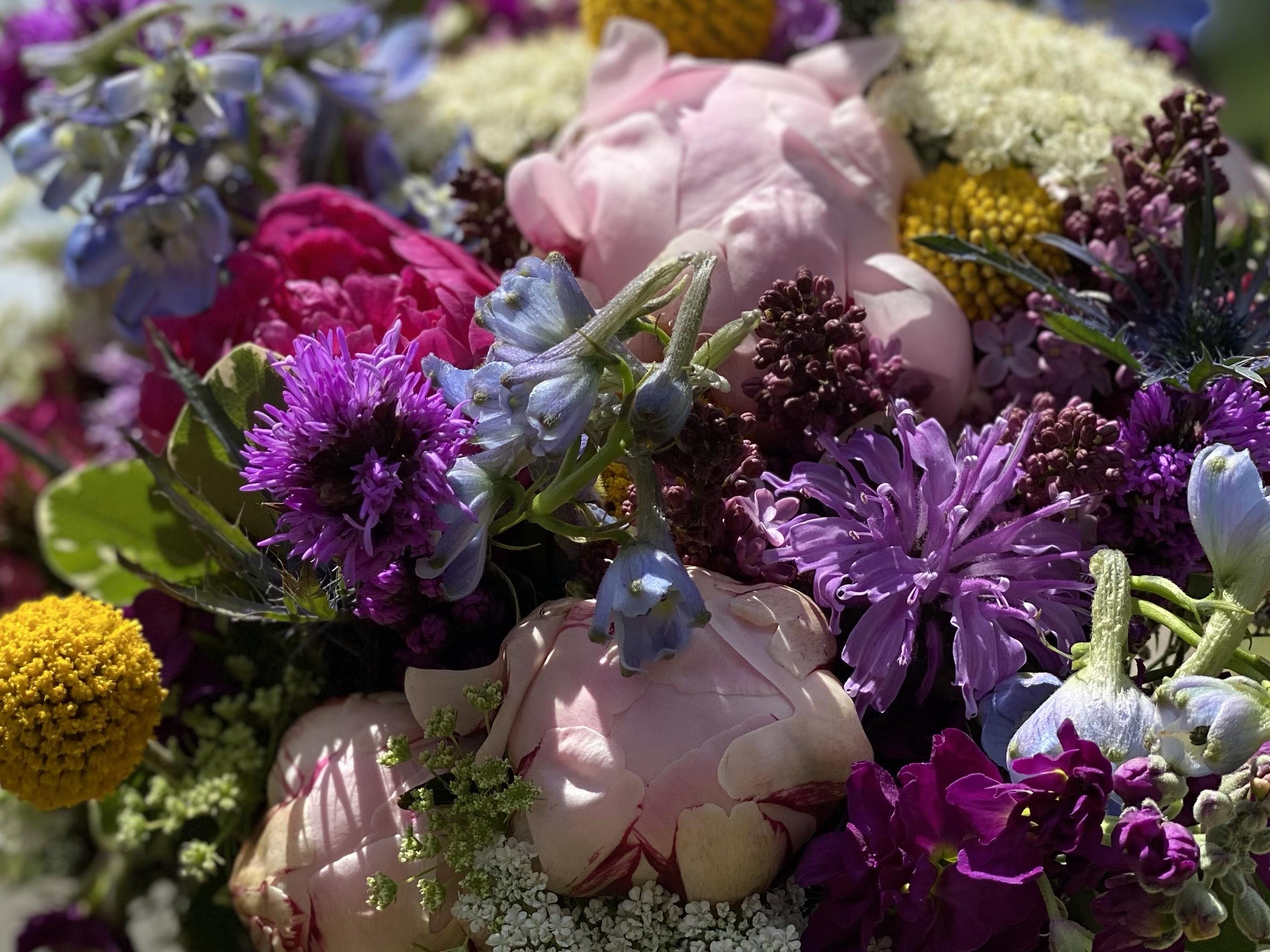 The Wedding Website of Kaitlyn Davis and Luis Carrera