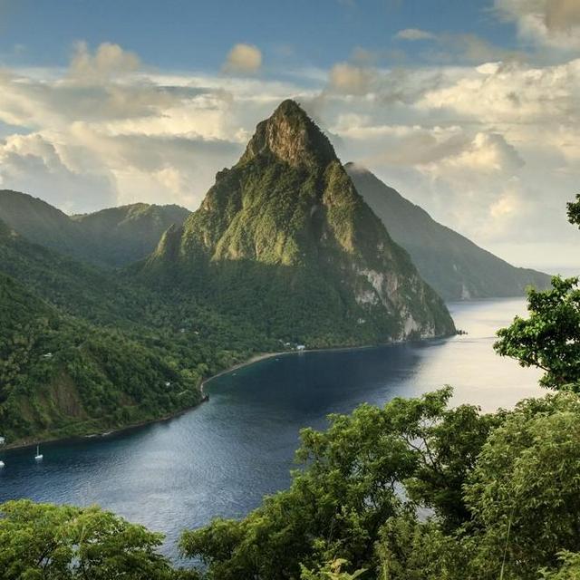 Antigua Rainforest Tour