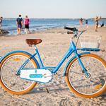Cape Cod Bike and Rail Trail