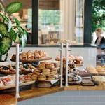 Fox in the Snow Cafe