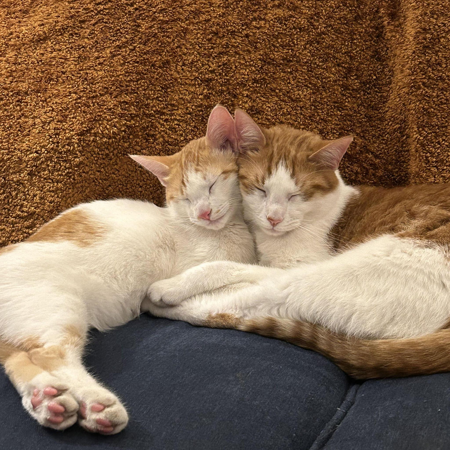 Ted and Puff!