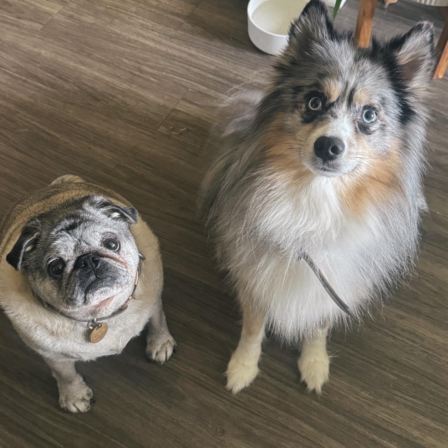 Our babies