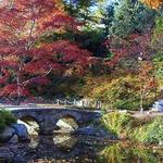 Have a Picnic at Maymont