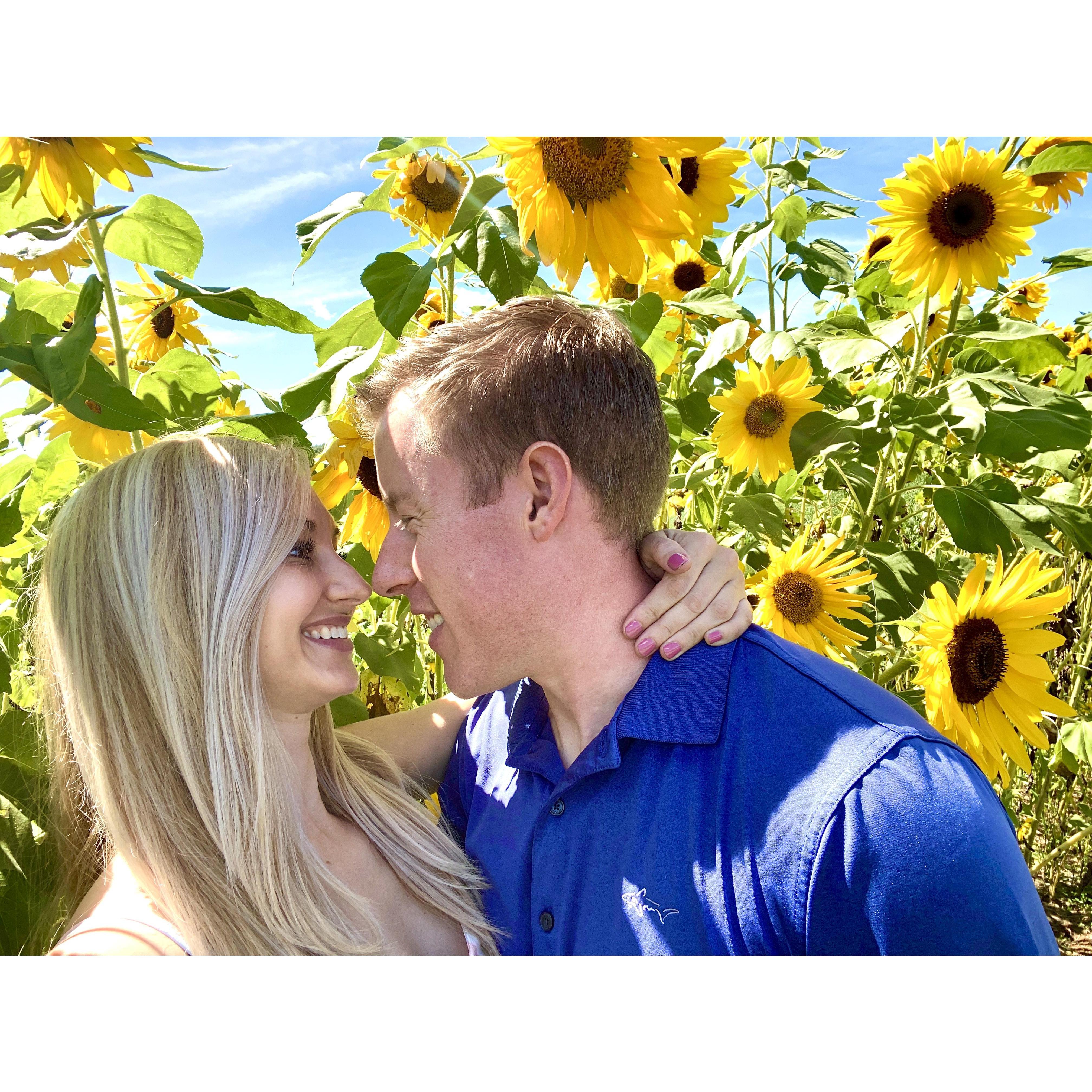 Got engaged at the sunflower fields