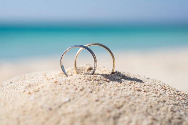 The Wedding Website of Elizabeth Beck and David Besprozvany