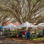 Kamuela Farmers Market
