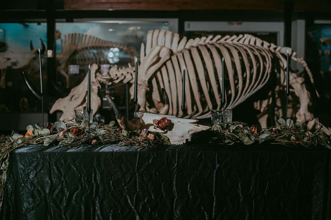 SKELETONS: Museum of Osteology