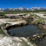 Wild Willy’s Hot Springs